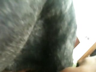 Animal Porn Videos Twitter