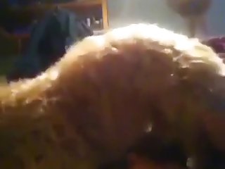 Alison Productions Animal Porn
