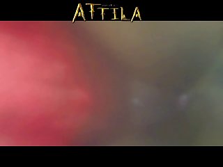 Www Animal Porn Videos