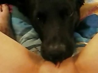 Zoophilia Man Fuck Dog