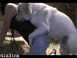 Free Porn Animal Xvideos