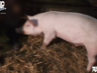 Animal Movies Porn Scene