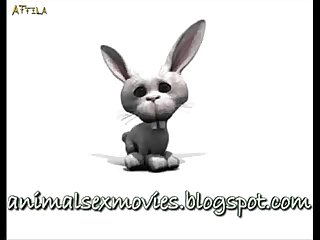 Zoofilia Videos Largos