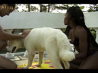 Zoofilia Anal A Caballo