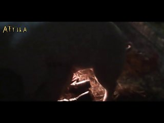 Videos Porno Zoofilia Con Asiaticas