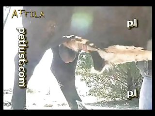 Porno Zoofilia Skool
