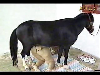 Porno Zoofilia Perros Y Mujeres