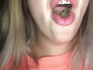 Porno Zoofilia Caballo