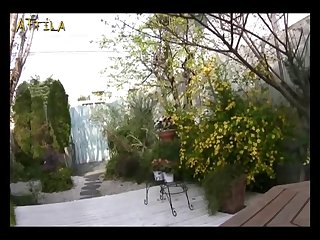 Porno Zoofilia Misionero