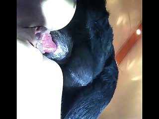 Dog Fuck Daughter Porn