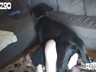 Sister Fuck My Dog