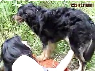Zoofilia Brutal Xxx
