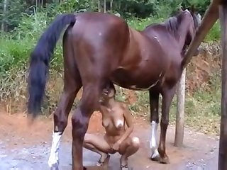 Zoofilia Pene Grande