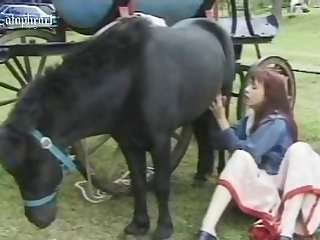 Zoofilia Videoss