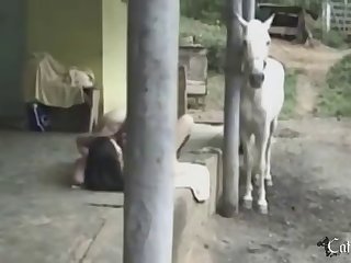 Espana Legaliza Zoofilia