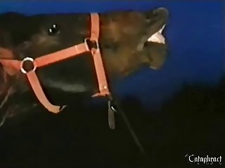 Porno Brital Zoofilia