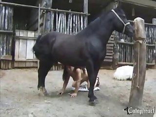 Zoofilia Con Monos Porno