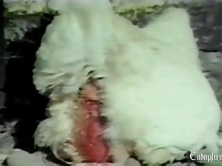 Comic Porno Zoofilia Xxx