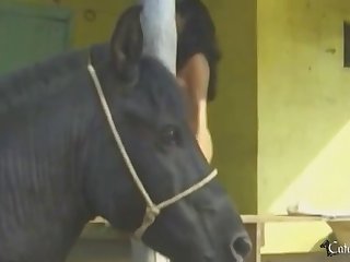 Resultados De Zoofilia