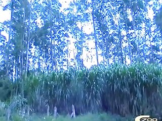 Filme Porno Cu Animale Zoofilia