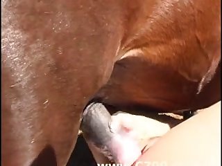 Zoofilia Mujer Folla Perro